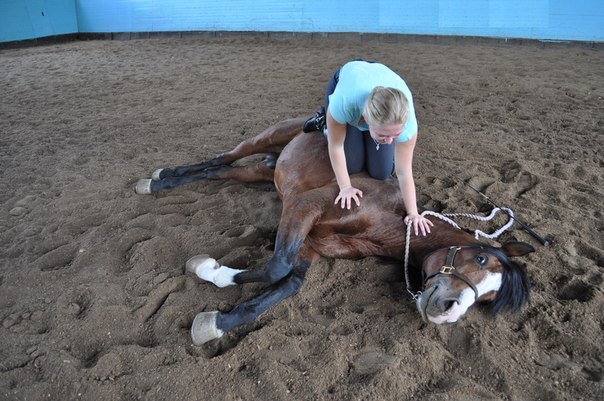 Тренинг "Обнимая лошадь"